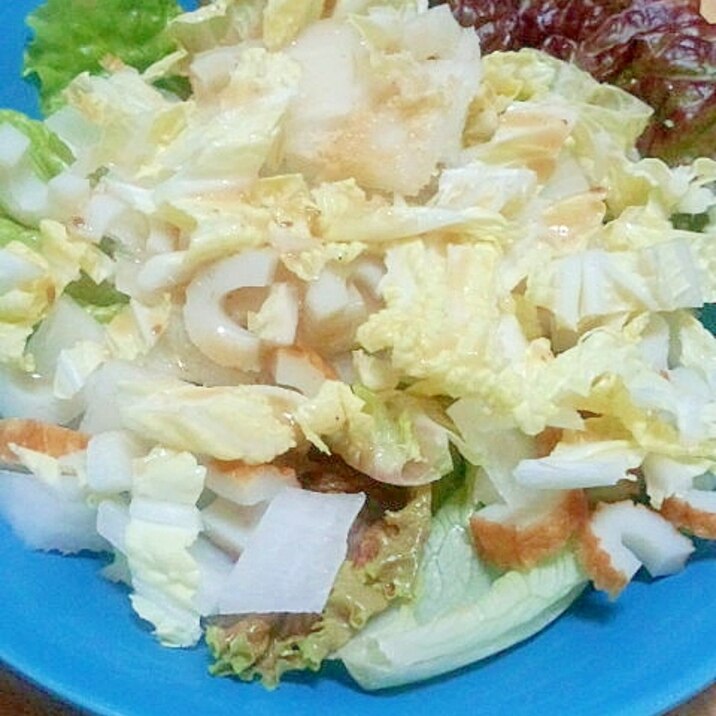 胡麻香る☆白菜と大根のサラダ